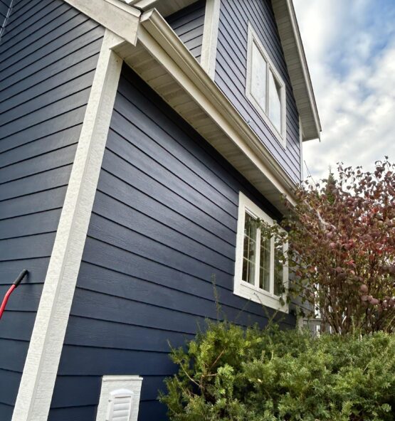 WhatsApp Image 2025-12-30 at 6.21.27 PM2