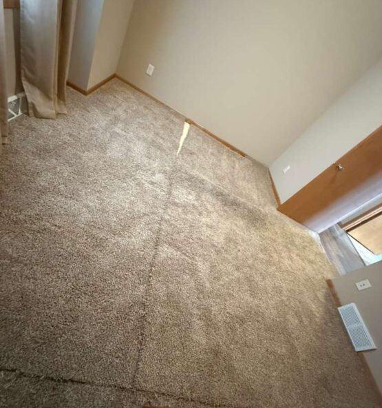 WhatsApp Image 2026-01-14 at 8.47.47 PM